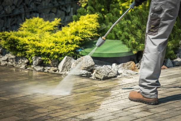 Best Spring Cleaning  in Woodland Beach, MI
