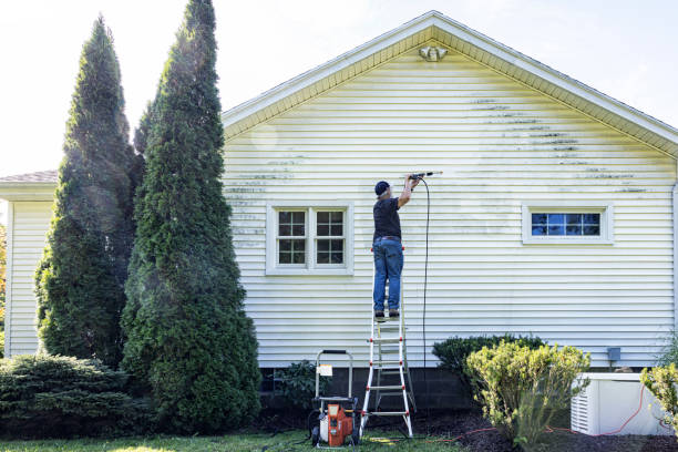 Best Rust Removal  in Woodland Beach, MI